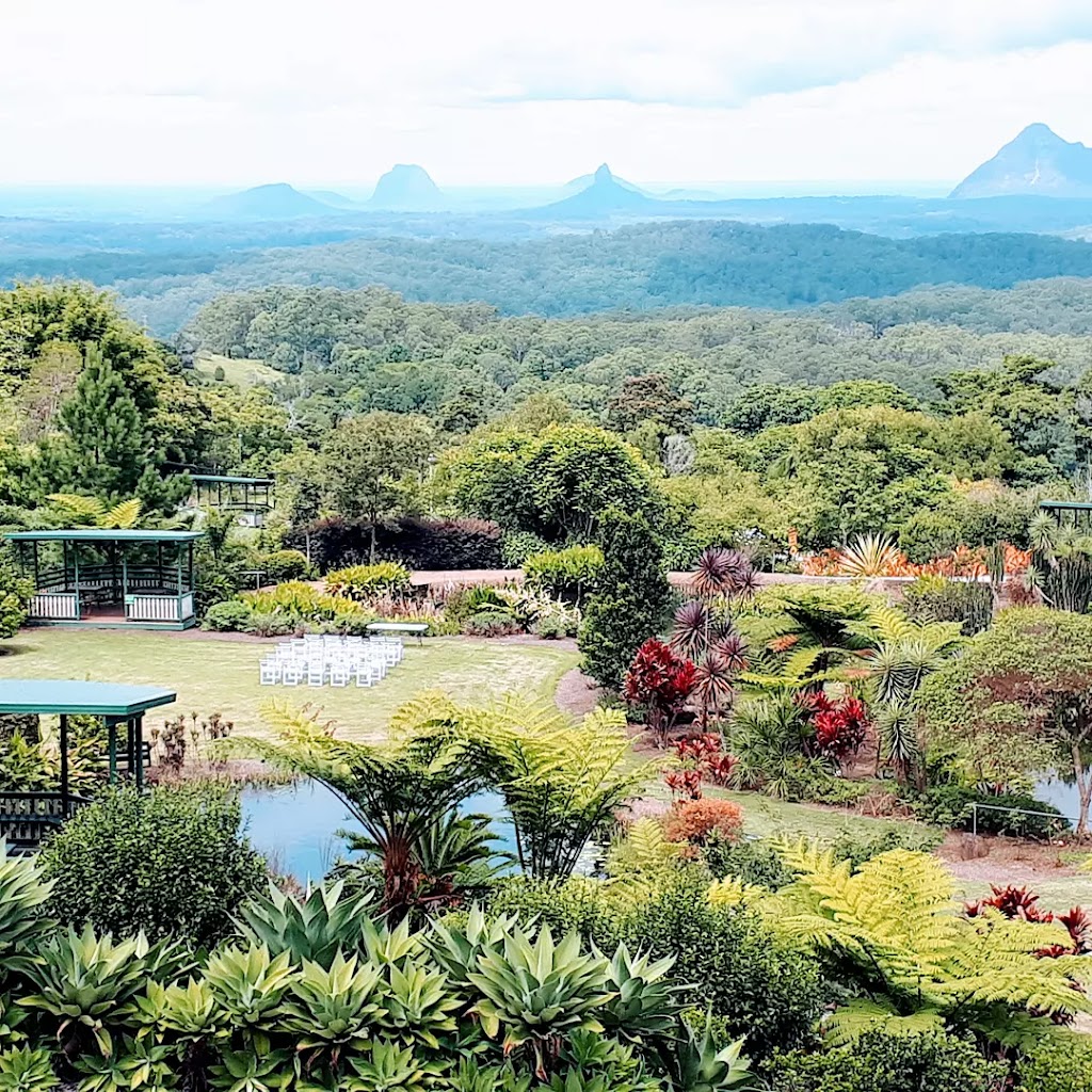 Maleny Picnics & Proposals | Macadamia Dr, Maleny QLD 4552, Australia | Phone: 0490 864 776