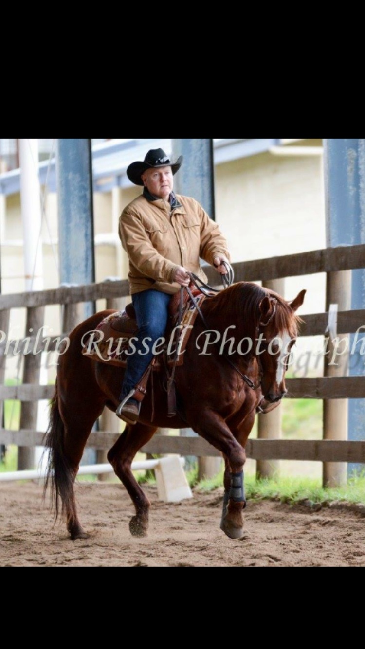 Dave Russell Horsmanship |  | Danima Equestrian Centre, 15 Horswood Rd, Narre Warren North VIC 3804, Australia | 0447656028 OR +61 447 656 028