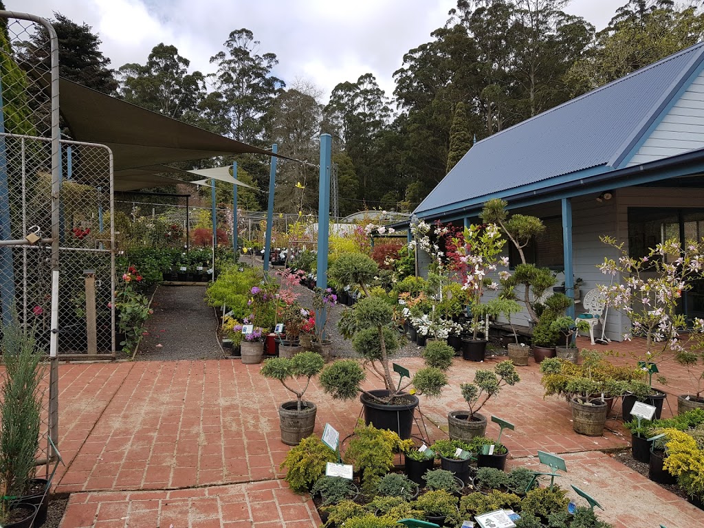 Conifer Gardens Nursery |  | 254 Mount Dandenong Tourist Rd, Ferny Creek VIC 3786, Australia | 0397551793 OR +61 3 9755 1793