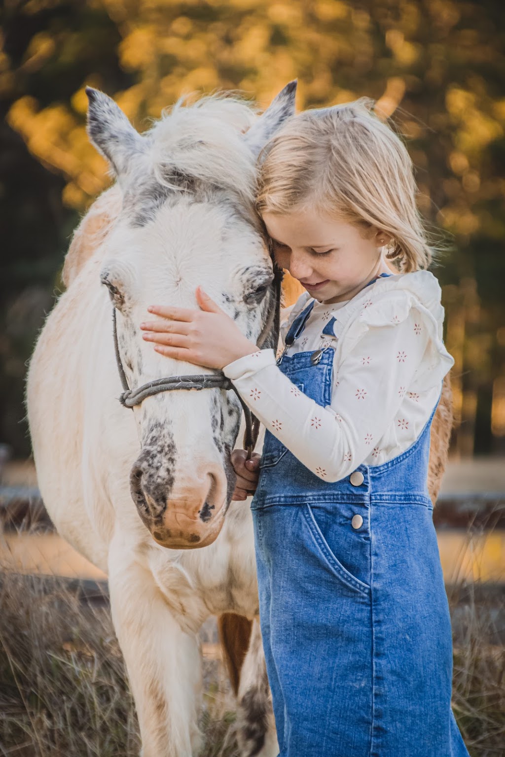 Hobbstography | 8 Bantry Rd, Scrubby Mountain QLD 4356, Australia | Phone: 0427 321 296