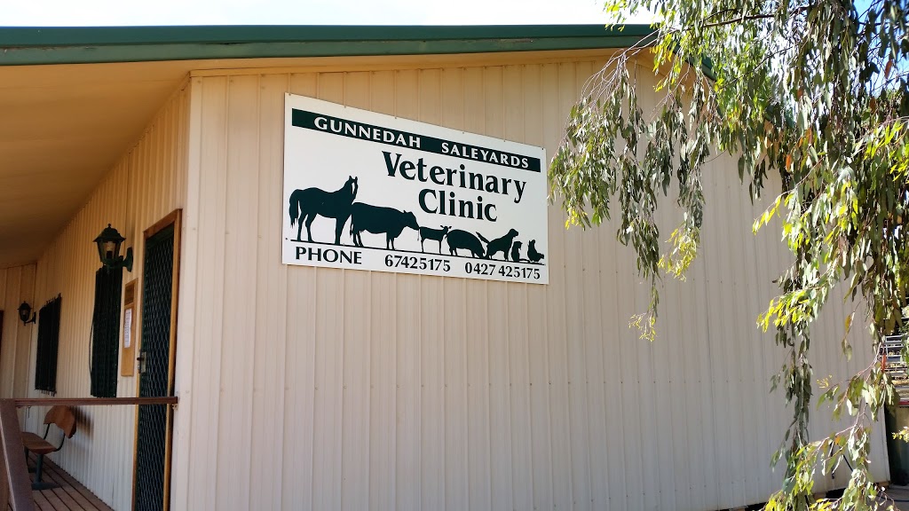 Gunnedah Saleyards Vet Clinic | veterinary care | 3/7 Kamilaroi Hwy, Gunnedah NSW 2380, Australia | 0267425175 OR +61 2 6742 5175