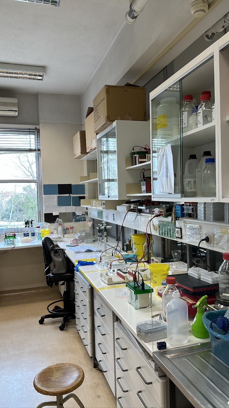 Peptide World | Hambledon Rd, Quakers Hill NSW 2763, Australia | Phone: (760) 265-4912