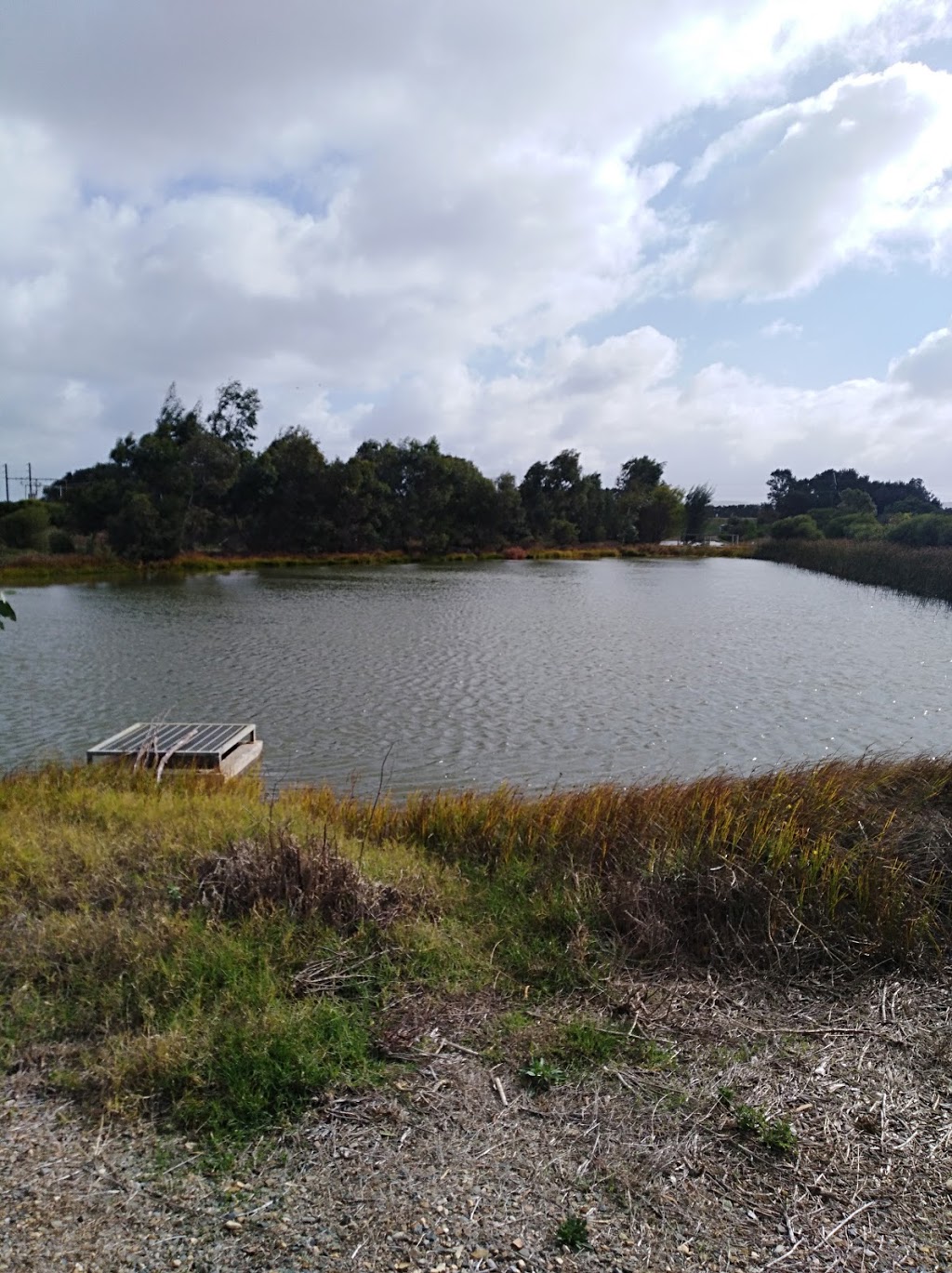 Kessell Road Ponds | park | 62/64 Kessell Rd, Goolwa SA 5214, Australia