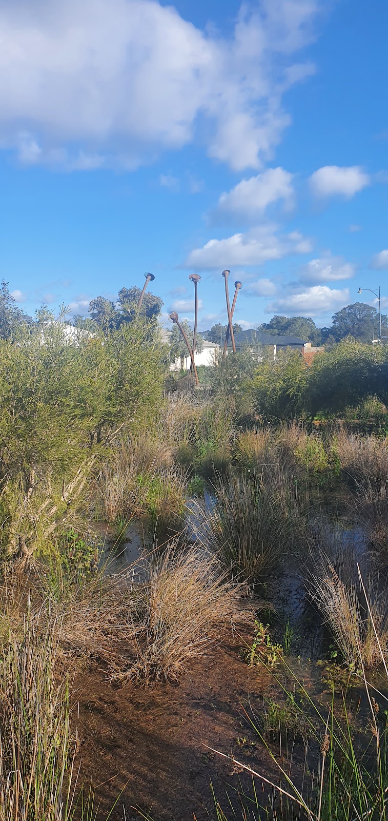 The Brook at Byford Adventure Playground | Dundatha Dr, Byford WA 6122, Australia | Phone: 1300 295 809