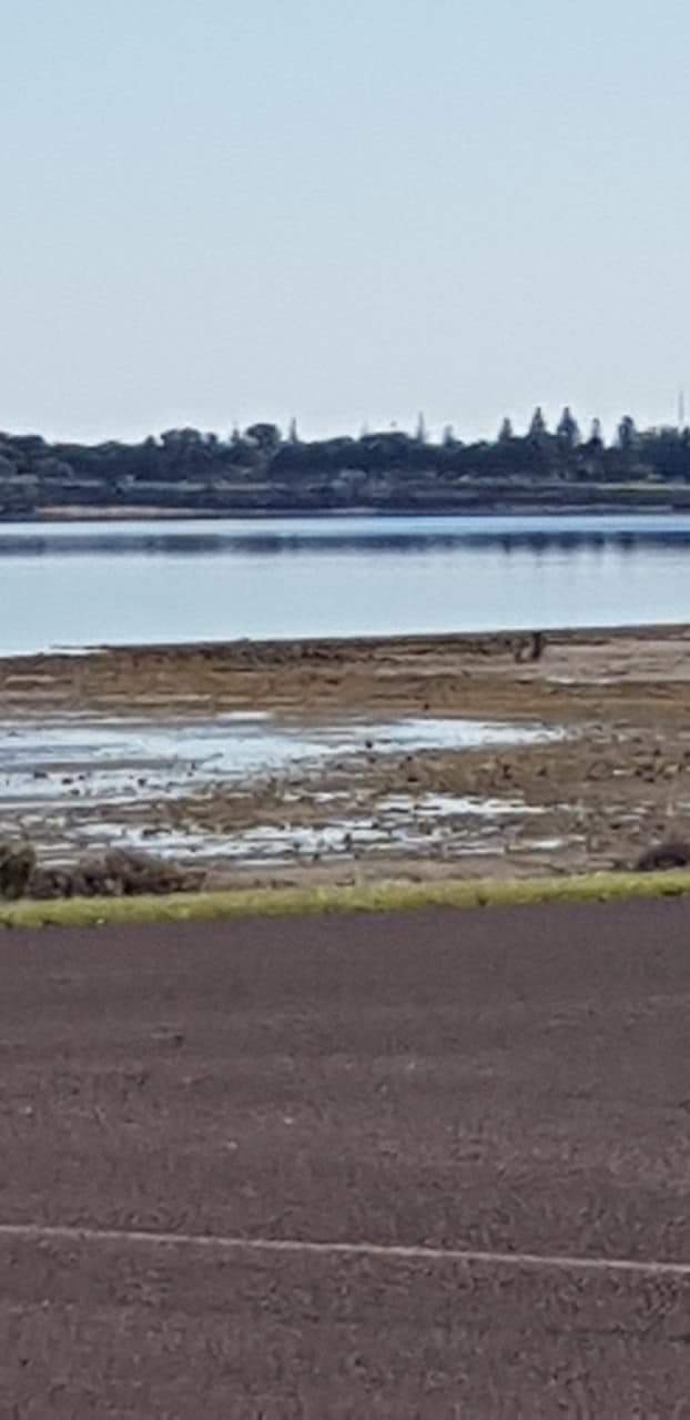 Seaview Cottage Ceduna | 11 Will St, Thevenard SA 5690, Australia | Phone: 0428 250 088
