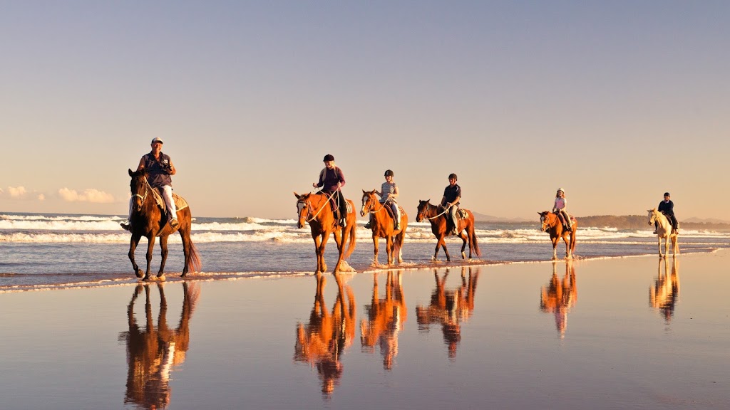 HWH Stables - Riding School & Trail Rides |  | 267 Dairyville Rd, Upper Orara NSW 2450, Australia | 0266538791 OR +61 2 6653 8791