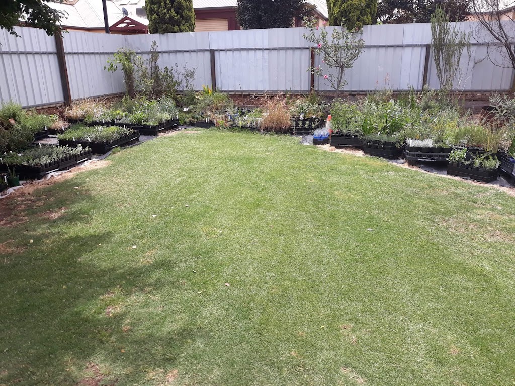 Fitzy’s Natives & Horticultural Services | 17 Nineteenth St, Gawler South SA 5118, Australia | Phone: 0457 035 704