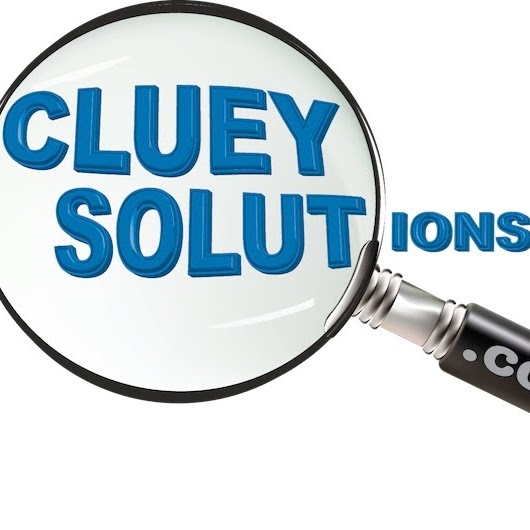 Cluey Solutions | store | 6 Matilda Circle, Morpeth NSW 2321, Australia | 0422358688 OR +61 422 358 688