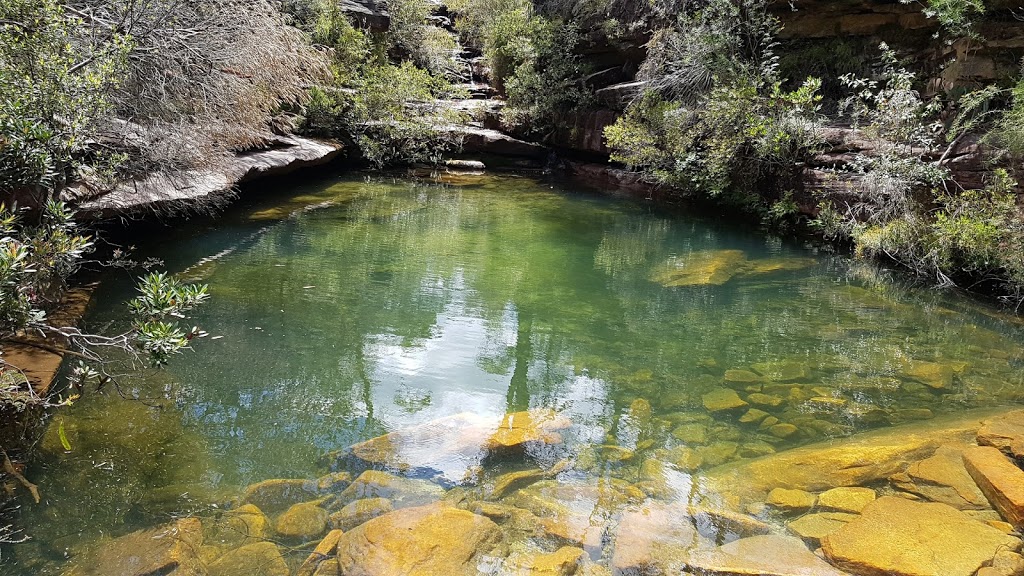 Popran National Park | Mangrove Mountain NSW 2250, Australia | Phone: (02) 9995 6500