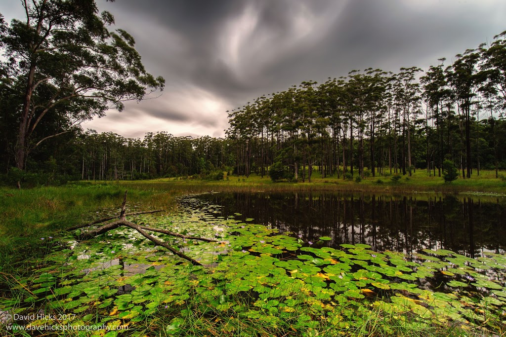 Bellthorpe National Park | park | Bellthorpe QLD 4514, Australia