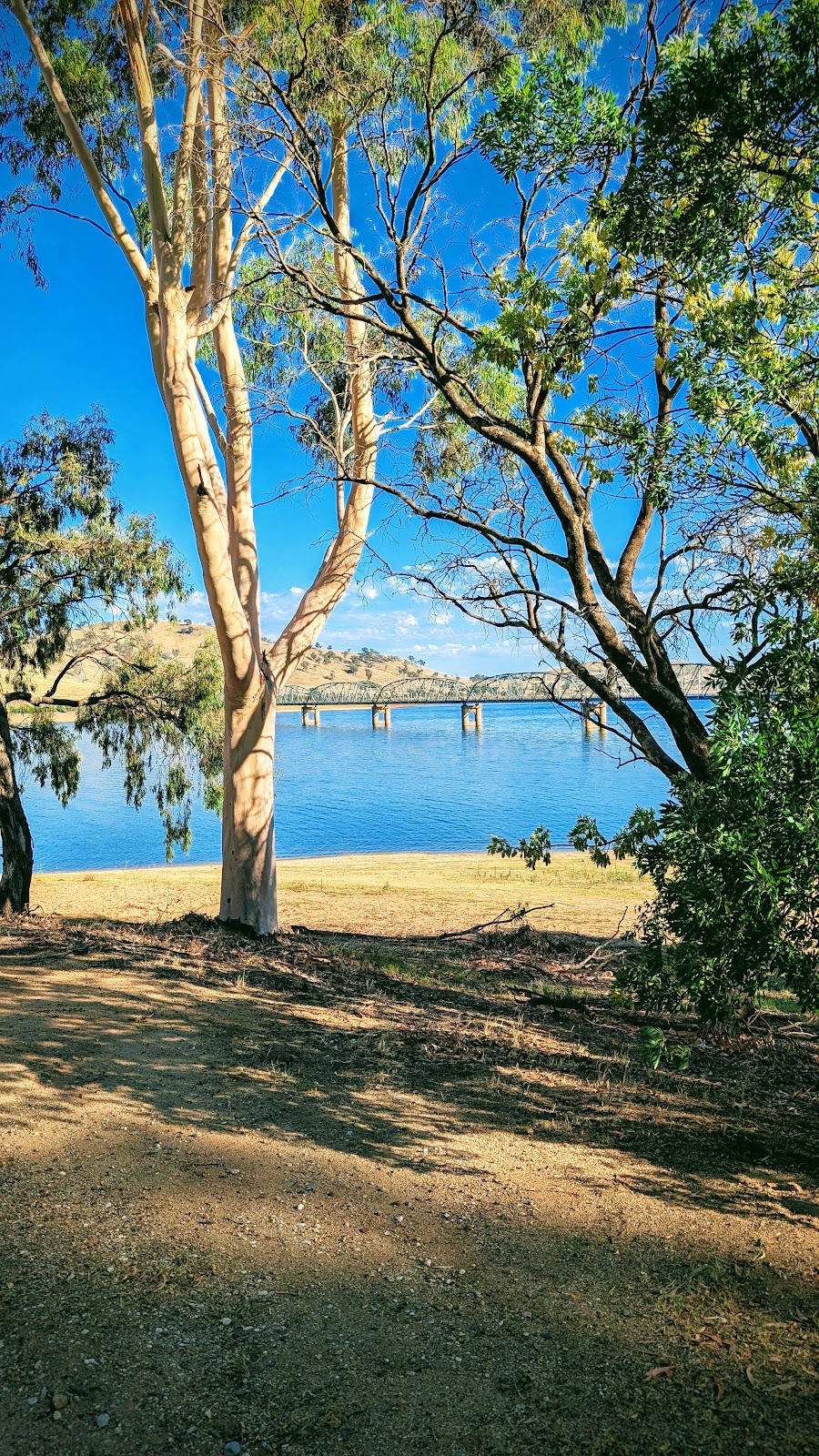 Bellbridge Container Cafe | 40 Lake Rd, Bellbridge VIC 3691, Australia | Phone: 0475 331 967