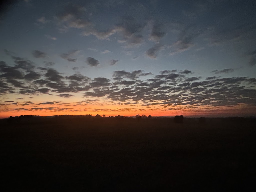 Lillington Hay and Fodder | 252 Bethel Rd, Burrumbuttock NSW 2642, Australia | Phone: 0429 205 590