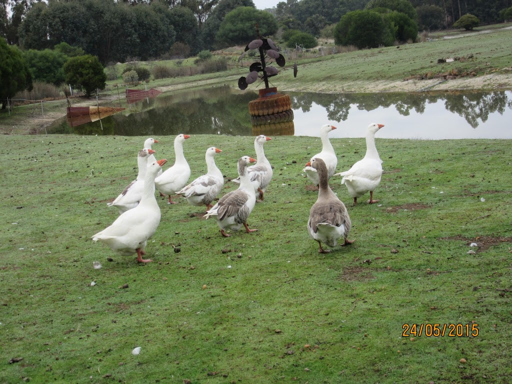 Loose Goose Chalets | lodging | LOT 4027 Barrabup Rd, Nannup WA 6275, Australia | 0402421748 OR +61 402 421 748