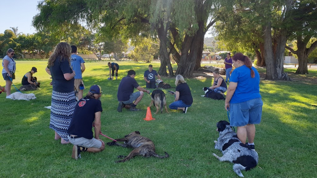 Complete Canine Training Solutions | Pioneer Park, Dawson Ave, Forrestfield WA 6058, Australia | Phone: 0400 818 711