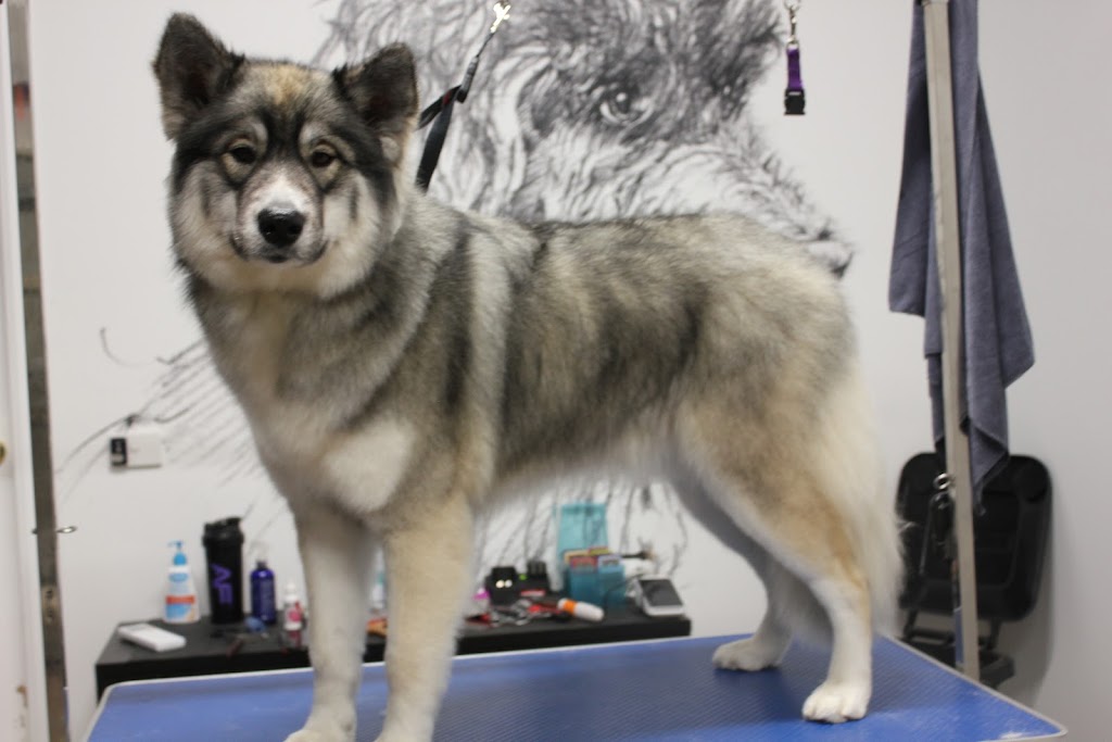 Dribble & Drool Dog Grooming | 13 Georgia Cl, Tooradin VIC 3980, Australia | Phone: 0447 821 234