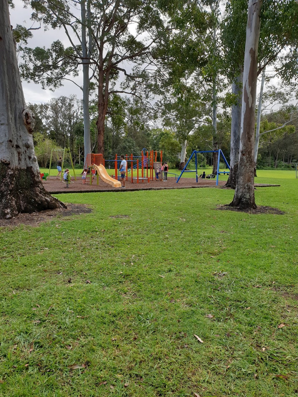 Bochow Park | park | 2890 Nerang Murwillumbah Rd, Natural Bridge QLD 4211, Australia