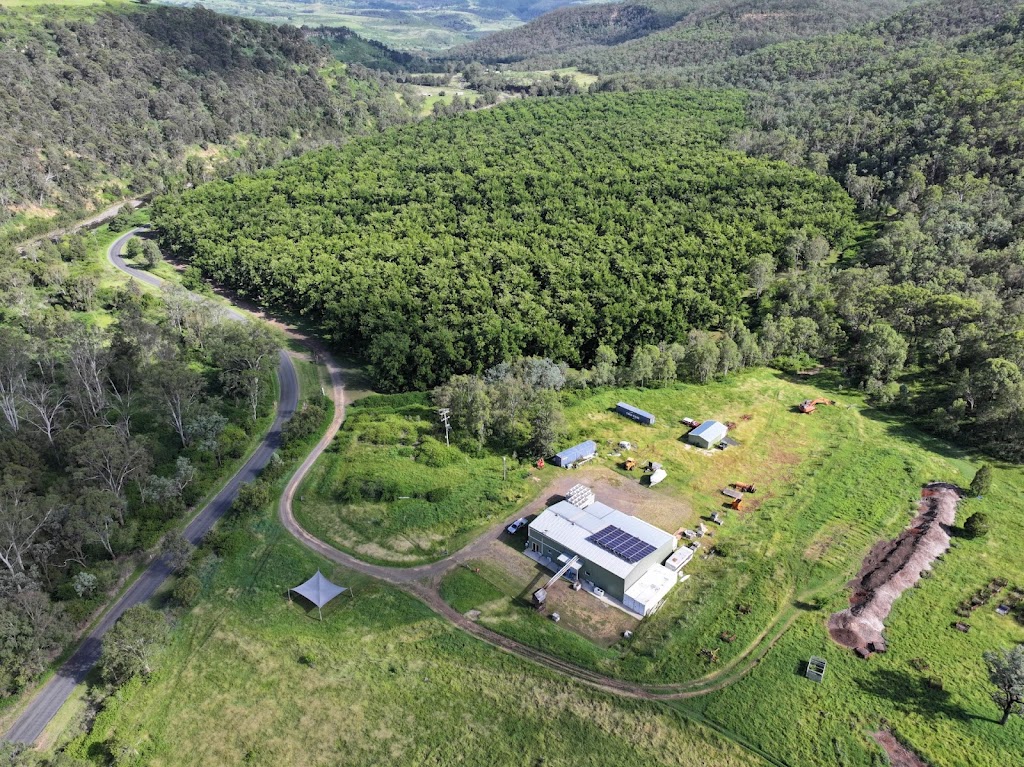 Organic Pecan Enterprises | 279 E Haldon Rd, Junction View QLD 4343, Australia | Phone: 0428 419 753