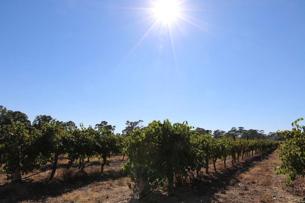 La Terrazza Vineyard (Winery) | food | 17 Gungurru Rd, Huntly VIC 3551, Australia | 0354488393 OR +61 3 5448 8393
