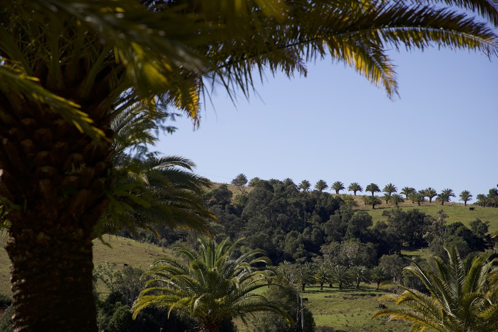 Talofa Palms, Byron Bay | 491 Bangalow Rd, Byron Bay NSW 2481, Australia | Phone: 0456 730 652