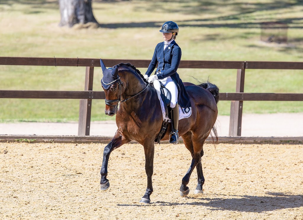 Kumandra Equine Therapies | 70 Palmdale Rd, Palmdale NSW 2258, Australia | Phone: 0434 305 309