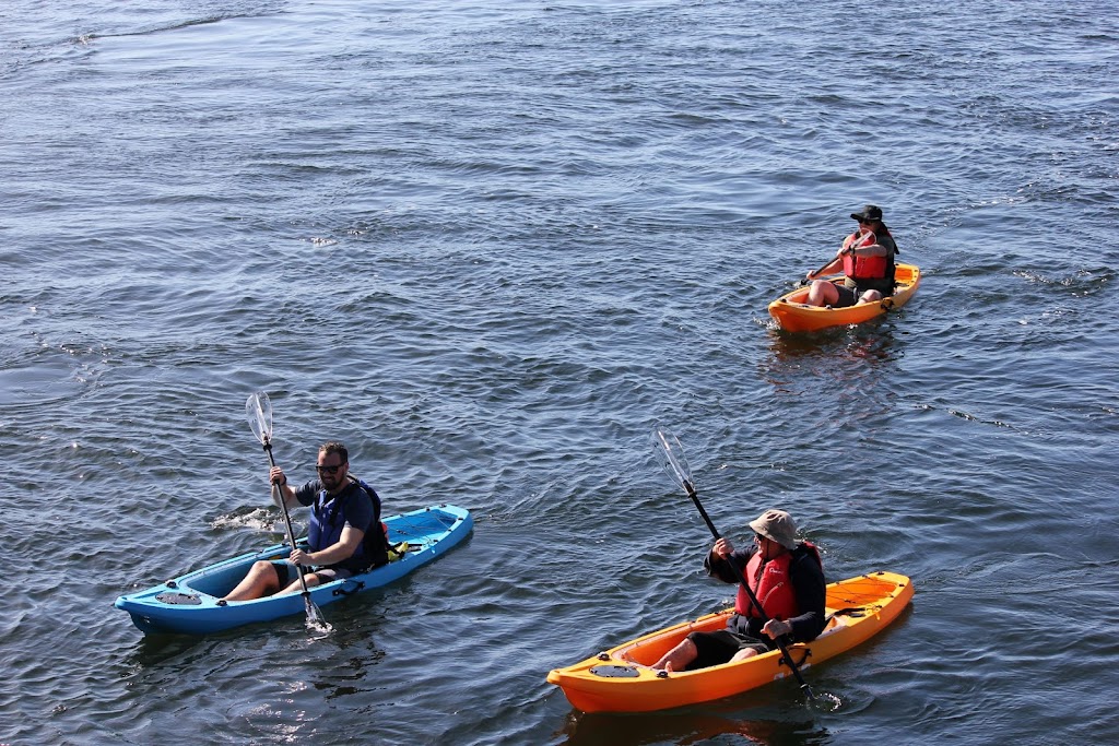 Lake Macquarie Kayak Adventures | Lambton Parade, Swansea Heads NSW 2281, Australia | Phone: 0401 211 951