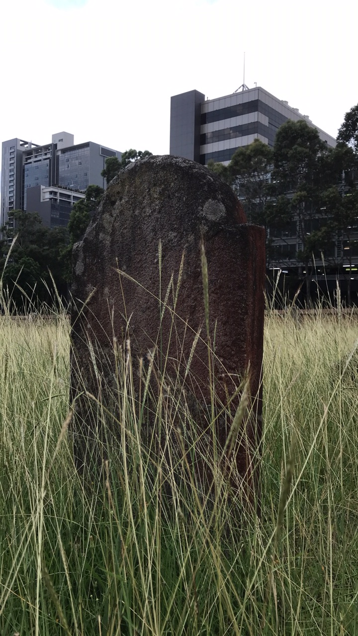 St. Johns Cemetery | cemetery | OConnell St & Aird St, Parramatta NSW 2150, Australia | 0298910700 OR +61 2 9891 0700
