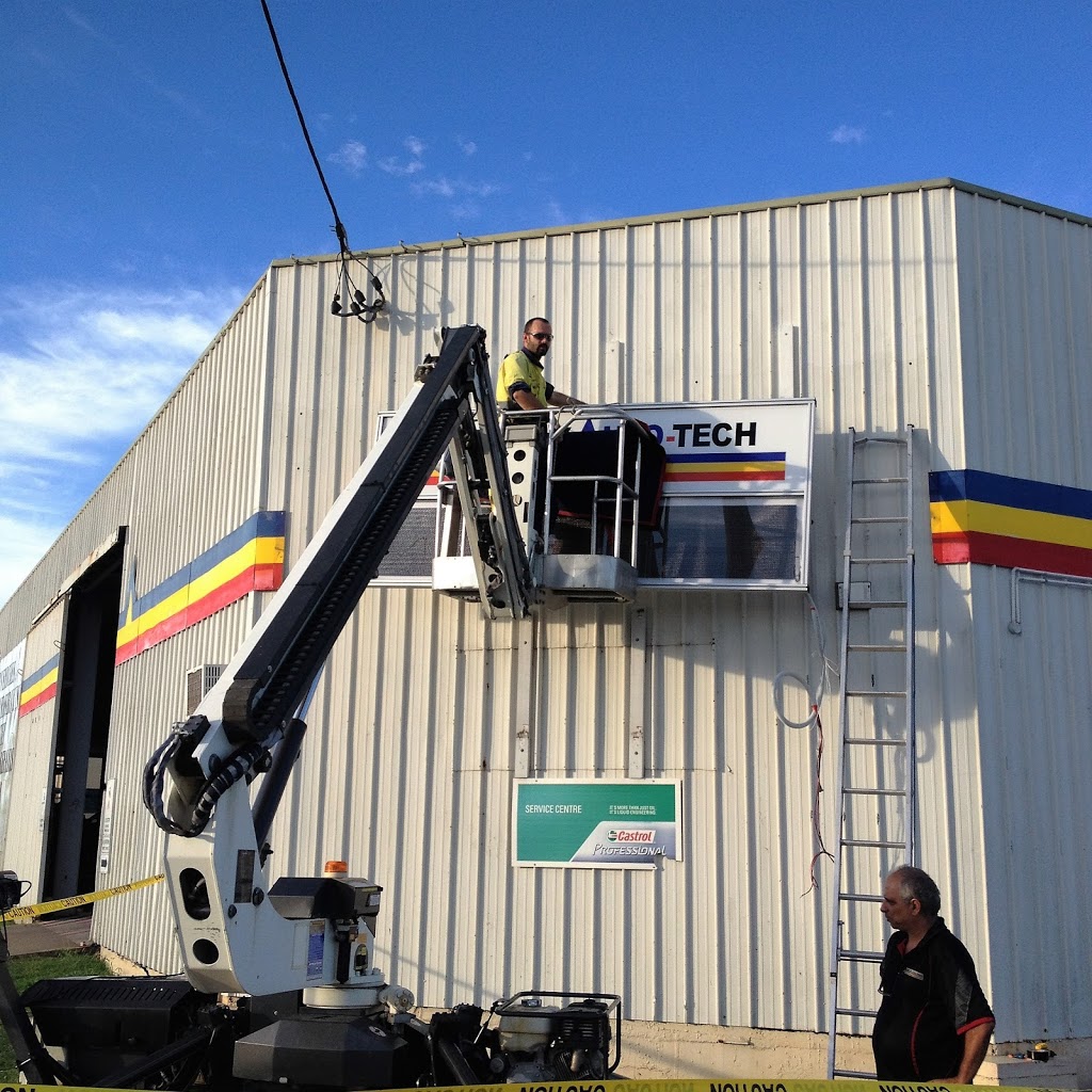 Aussie Palm Clean - Mackay Coconut Removal | 174 Milton St, Mackay QLD 4740, Australia | Phone: 0419 157 213