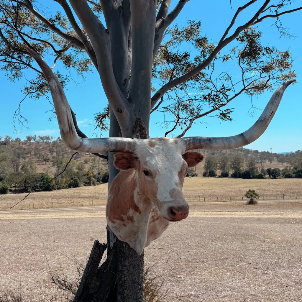 Riverleigh Taxidermy | 6706 National Highway 15, Aratula QLD 4309, Australia | Phone: (07) 5463 8512