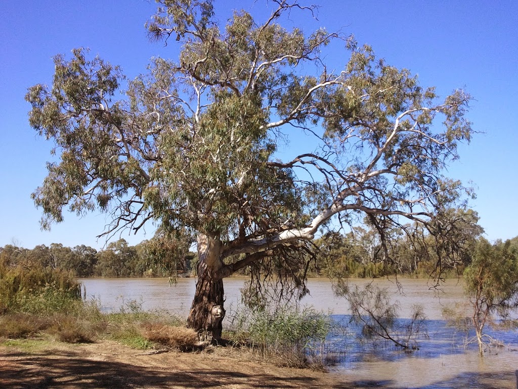 Murray River National Park | park | Katarapko SA 5343, Australia | 0885801800 OR +61 8 8580 1800