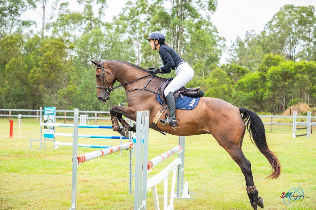 Hiddy and Co | 80 Upper Crystal Creek Rd, Upper Crystal Creek NSW 2484, Australia | Phone: 0412 040 636
