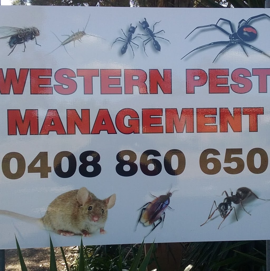 western pest management | 27 Grays Ln, Cranebrook NSW 2749, Australia | Phone: 0408 860 650