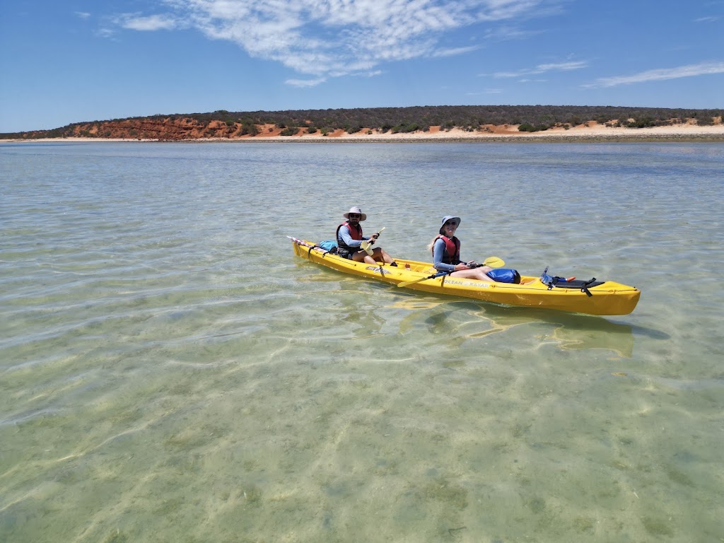 Paddling Monkey Mia Kayak Safaris and SUP Hire | 1 Monkey Mia Rd, Shark Bay WA 6537, Australia | Phone: 0428 911 283