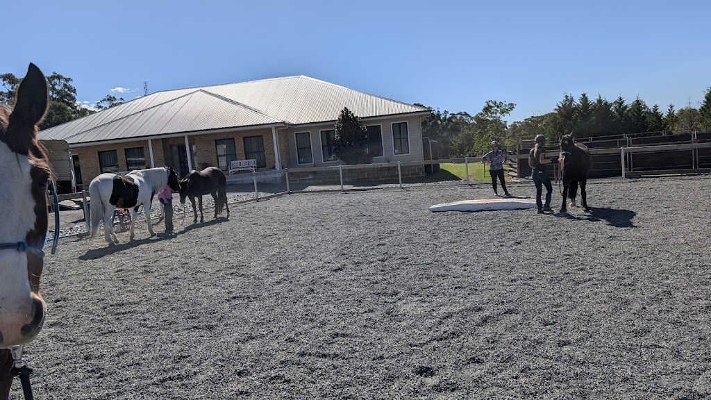 Confetti Equestrian and Appaloosas | 10 Boundary Rd, Buxton NSW 2571, Australia | Phone: 0403 132 905