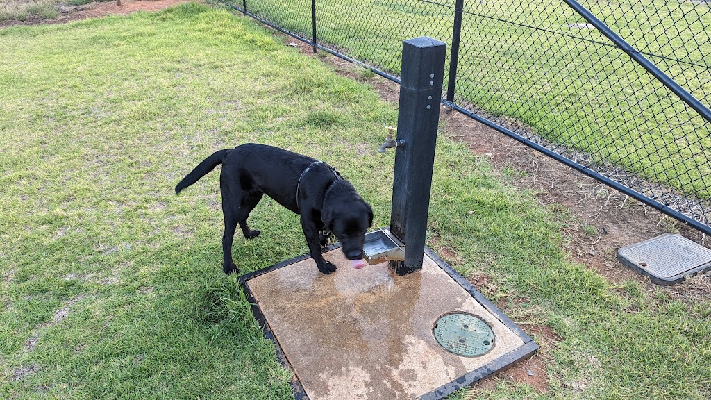 Off-Leash Dog Park | park | Parkes NSW 2870, Australia | 0268612373 OR +61 2 6861 2373