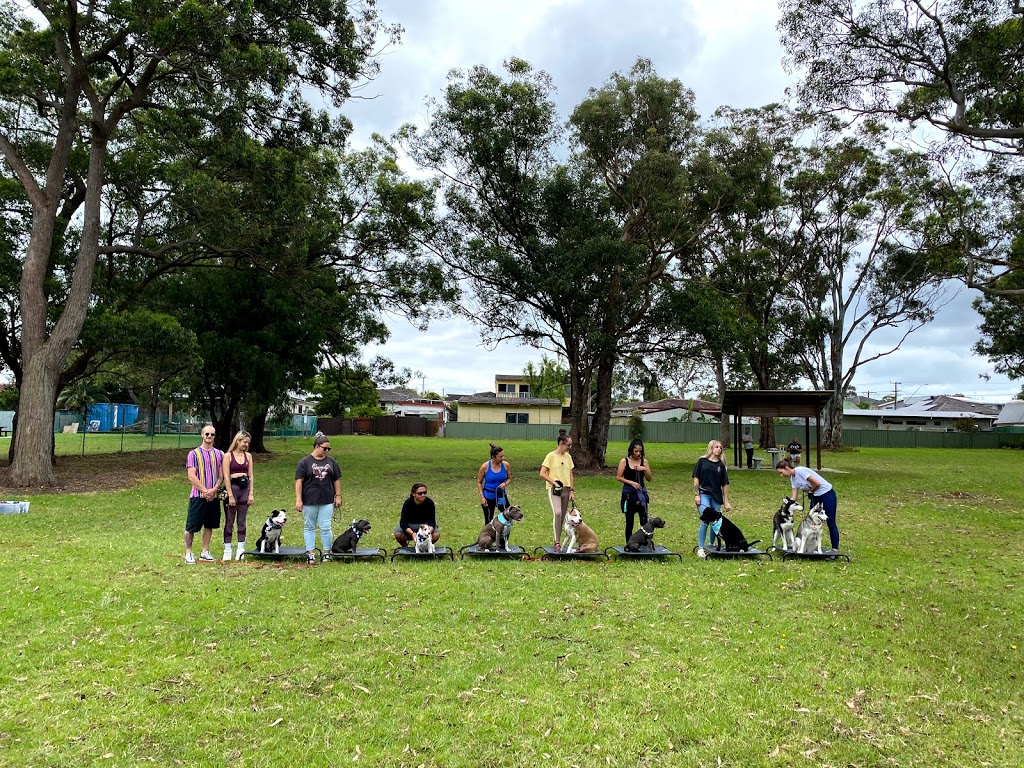 Walkys - Dog Training Academy | 4/2 Commerce Dr, Lake Illawarra NSW 2528, Australia | Phone: (02) 4295 3169