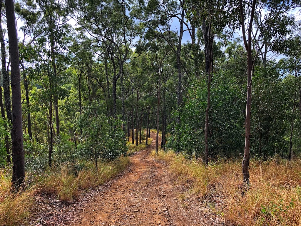 Gold Creek Road Hiking Trail | park | 681P Gold Creek Rd, Upper Brookfield QLD 4069, Australia