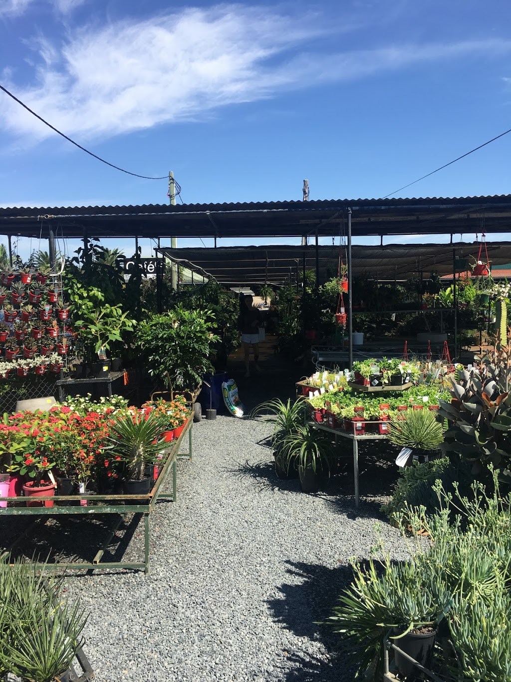 Ross Evans Garden Centre | store | 296-300 Oxley Dr, Runaway Bay QLD 4216, Australia | 0488010656 OR +61 488 010 656