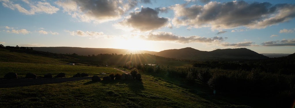 King Truffle Farm | 3492 Whittlesea-Yea Rd, Flowerdale VIC 3717, Australia | Phone: 0458 362 370