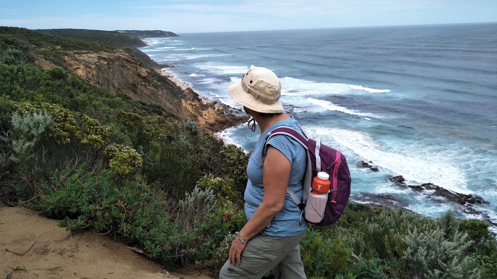 Walk 91 - Great Ocean Road Walk | Self Guided Walking & Hiking T | 157/159 Great Ocean Rd, Apollo Bay VIC 3233, Australia | Phone: (03) 5237 1189