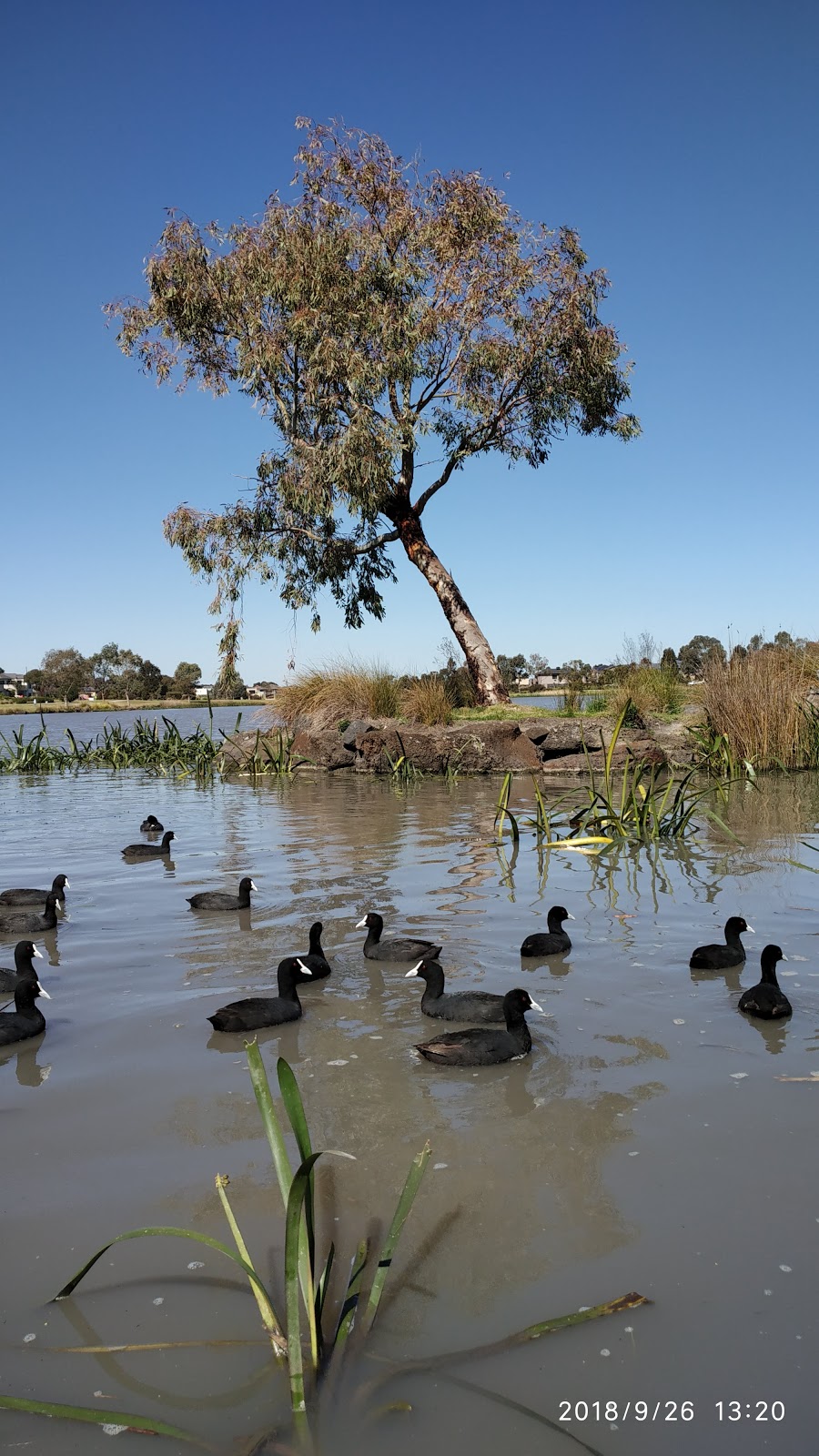 Waterways Lake | museum | 7 Observation Ct, Waterways VIC 3195, Australia