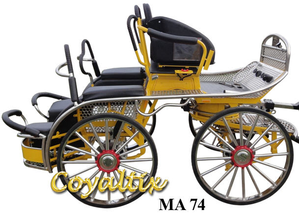 Coyaltix Carriages Australia | 65 Gunn Rd, Benalla VIC 3672, Australia | Phone: 0458 251 697
