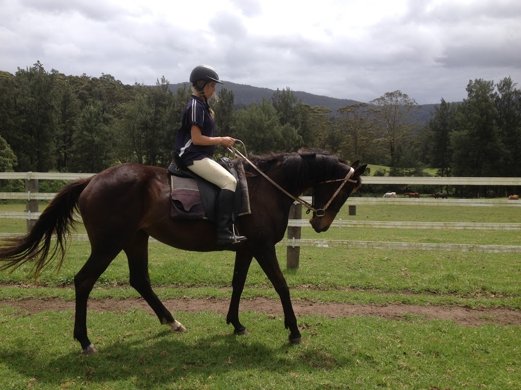 Kangaroo Valley Horses | travel agency | 251 Abernethys Rd, Budgong NSW 2577, Australia | 0402902072 OR +61 402 902 072