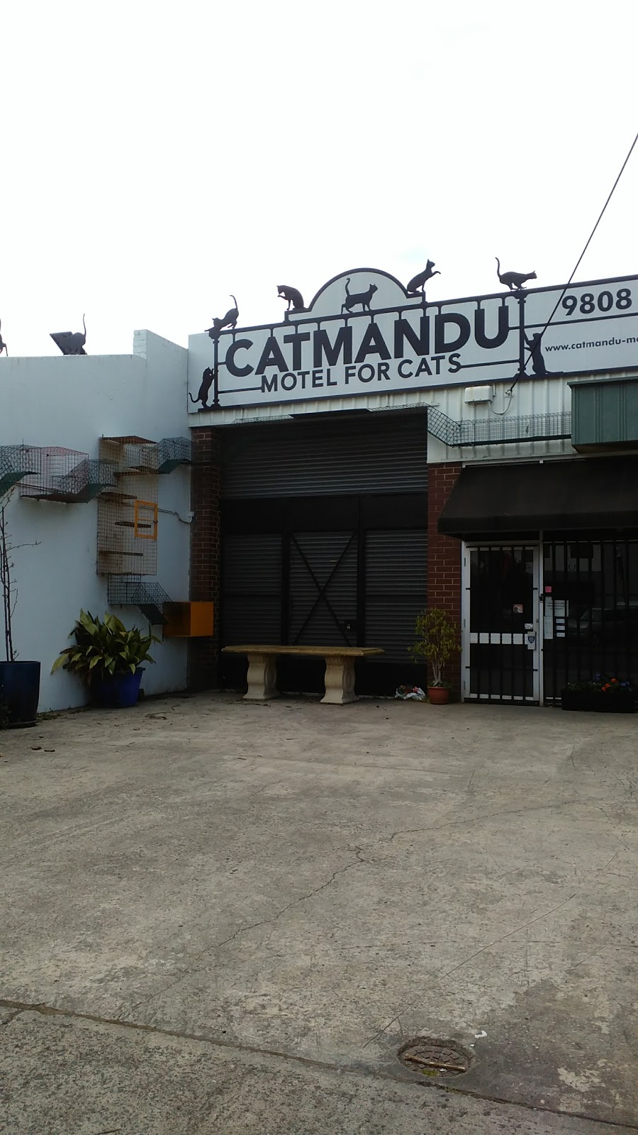 Catmandu Motel for Cats | veterinary care | 119 Highbury Rd, Burwood VIC 3125, Australia | 0398086006 OR +61 3 9808 6006
