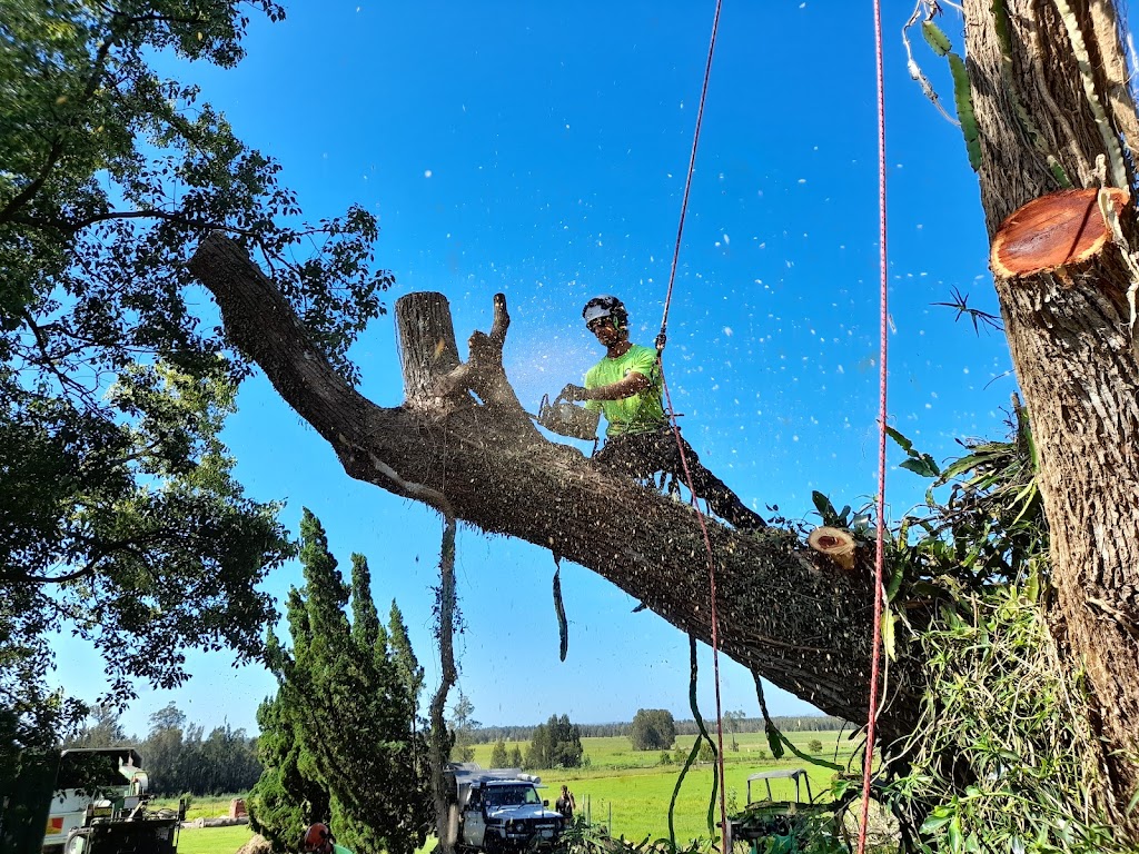 Berry Tree Works | 10 E, 10D Jaspers Brush Rd, Jaspers Brush NSW 2535, Australia | Phone: 0414 039 861