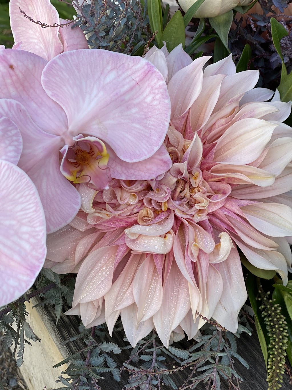 Botanic Poetry | florist | 51 Onkaparinga Valley Rd, Woodside SA 5244, Australia | 0414709696 OR +61 414 709 696