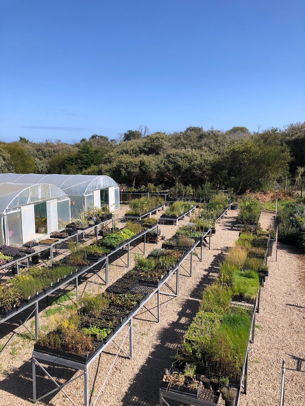 Reforest Australia Bush Nursery | Cape Schanck Rd, Cape Schanck VIC 3939, Australia | Phone: 0450 350 687