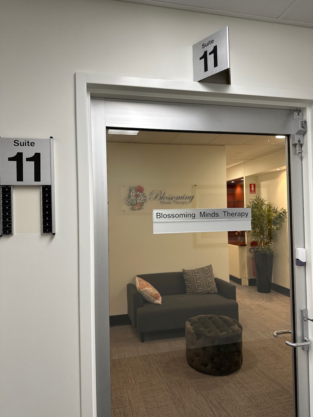 Blossoming Minds Therapy | Suite 11, Level 3/499 Windsor Rd, Baulkham Hills NSW 2153, Australia | Phone: 0412 899 086