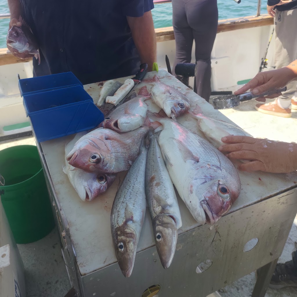 Newhaven Fishing Charters | Rhyll Jetty, Beach Rd, Rhyll VIC 3923, Australia | Phone: 0412 220 437