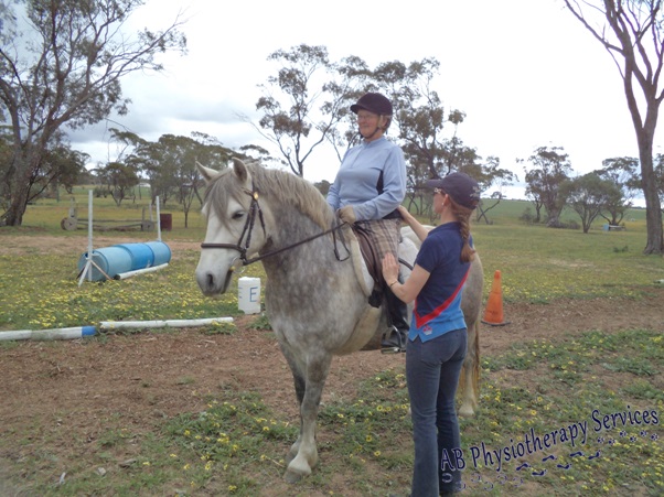 AB Physiotherapy Services for horses and riders | 1707 Doodlakine-Kununoppin Rd, Doodlakine WA 6411, Australia | Phone: 0407 300 402