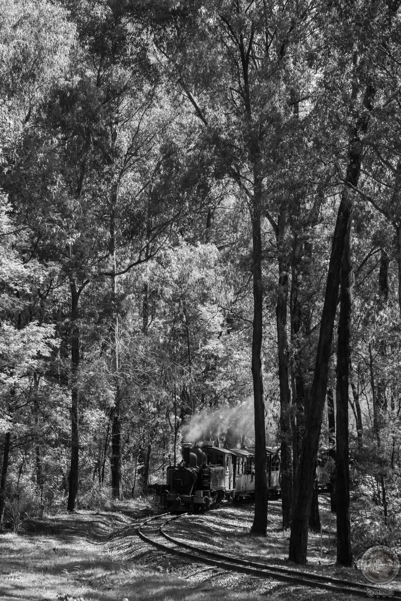 Wright Forest Bushland Reserve | park | Bailey Rd, Cockatoo VIC 3781, Australia | 131963 OR +61 131963